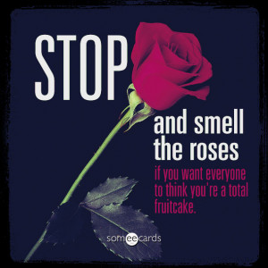 All Ecards, Free All Cards, Funny All Greeting Cards at someecards.com