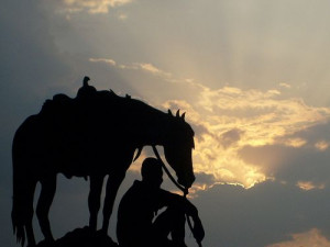 cowboy and his horse at sunset If you love horses: ~~~> www ...