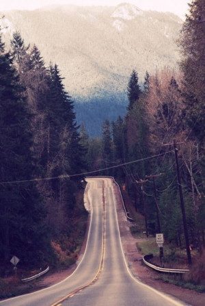 street nature urban vertical