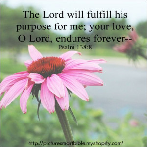 Love! David's reflection and faith in God regarding the promises of 2 ...