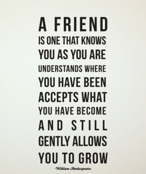... Quotes to Help You Make a Better Friendship – Having a Good Friend