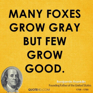 Benjamin franklin politician many foxes grow gray but few grow