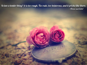 Romeo And Juliet Friendship Quotes