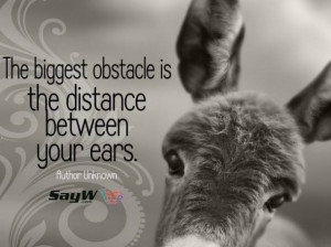 The biggest obstacle is the distance between your ears. - Unknown