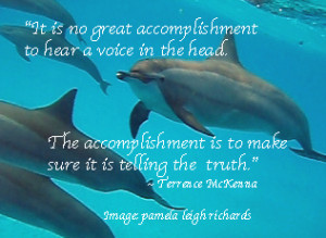 Dolphins Free Pamela Terence McKenna quote