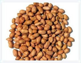 peanut shells product name peanut shells product origin gujarat india ...