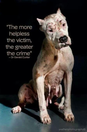 Pinned by Jewels Stoltz