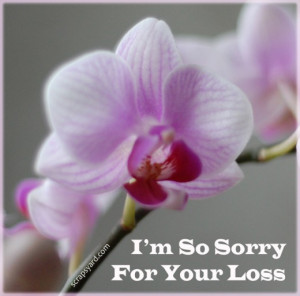 Sympathy Cards Sayings
