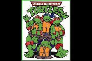 About 'Teenage Mutant Ninja Turtles'