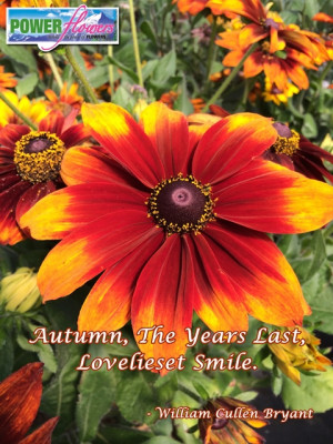 2015 Power Flowers 1550 E. 73rd Ave , Denver, CO 80229 Phone: (303 ...