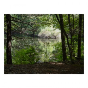 Buy Walden Pond Poster by 1000Words