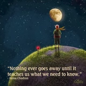 Nothing Ever Goes Away Quote by Pema Chodron