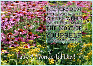... Wonderful Day! Make the most of yourself Good Morning picture quotes