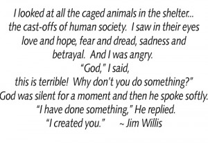 OUR PETS need your support! ... See them ALL on our adoptable pet list ...