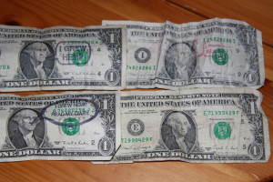 Re: Thomas Jefferson's Favorite Plant Is Back in American Soil