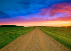 Step Away From the Cake