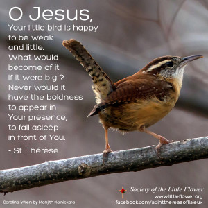 Jesus, Your little bird is happy to be weak and little.