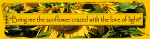 Bring me the sunflower crazed with the love of light