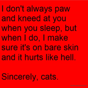 don't always paw and kneed at you when you sleep, but when I do, I ...