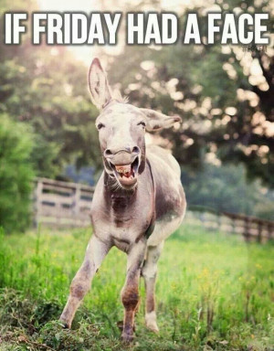 If Friday Had A Face #TGIF #Donkey