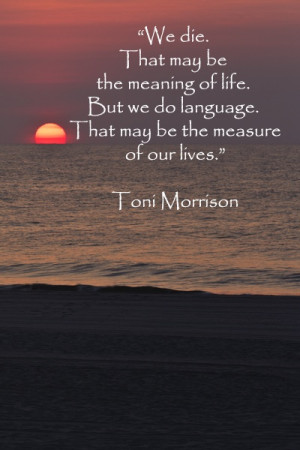 My Favorite Toni Morrison Quotes + My Career Day Talks & Workshop at ...