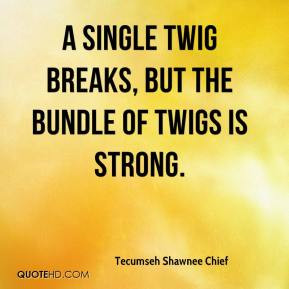 ... Chief - A single twig breaks, but the bundle of twigs is strong