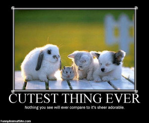 Cutest Thing Ever - Return to Funny Animal Pictures Home Page