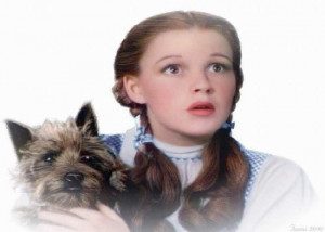 Dorothy_and_Toto_(The_Wizard_of_Oz)_Wallpaper_JxHy