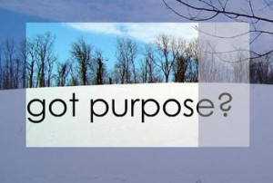 the purpose of life is a life of purpose when i read this quote i ...