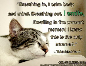 Meditation Quote 32: “Breathing in, I calm body and mind. Breathing ...