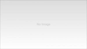 Funny Quotes Contact Dmca...