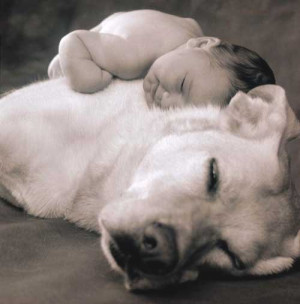 Baby Sleeping On Dog