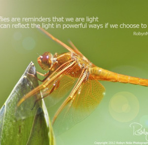 Inspirational Dragonfly Fine Art Print by Robyn Nola