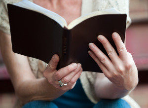 Coming to Our Senses: The Moral Sense of Scripture