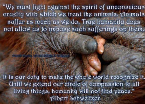 My favorite Albert Schweitzer quote.