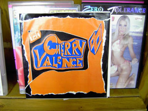 the outsiders cherry valance quotes