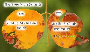Lovely quotes on life in hindi