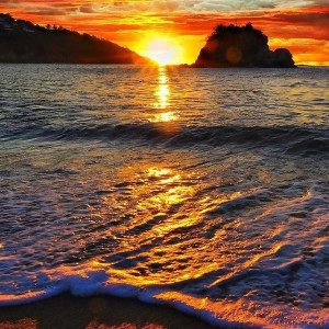 Gods beautiful creation!
