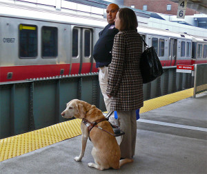 Discussions → Illustrate it! [GAME]