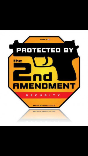 2nd Amendment 2A Pro gun