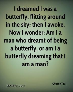 Chuang Tzu - I dreamed I was a butterfly, flitting around in the sky ...