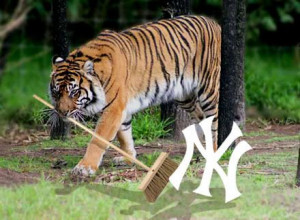 ... yankees in new york a guide by the detroit tigers roar of the tigers
