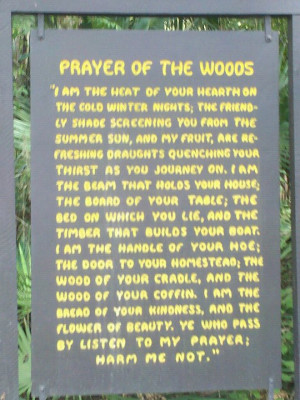 Prayer Of The Woods, I Am The Heat Of Your Hearth ~ Nature Quote