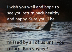 Bon Voyage Messages | Have a Safe Trip Wishes