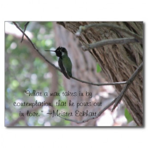 Meister Eckhart Contemplation Quote Hummingbird Postcard