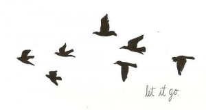 quote life Cool birds words creative inspirational yay saying fly let ...