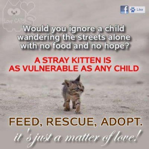 Feed, Rescue, Adopt