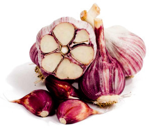 If your only experience with garlic has been the small white bulbs ...