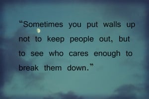 sometimes you put walls up not to keep people out, but to see who ...