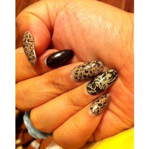 Funny Quotes Contact Dmca